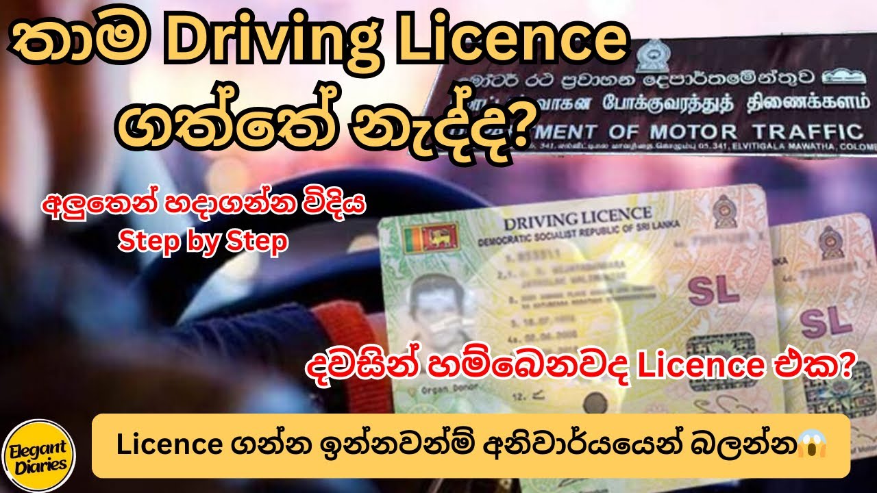 අලුතෙන් Driving Licence ගන්න විදිය Step by Step 😱 