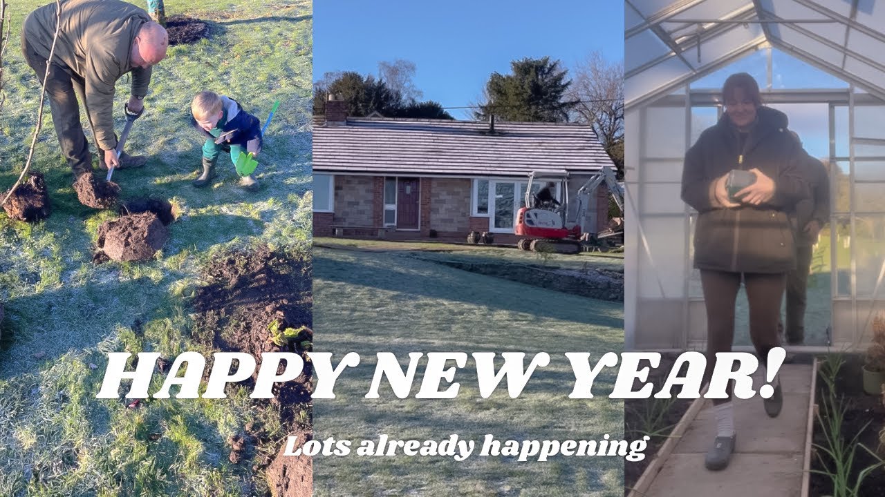 A FRESH START FOR 2026 | Sowing seeds (beginners guide) moving rhubarb & our biggest project yet!