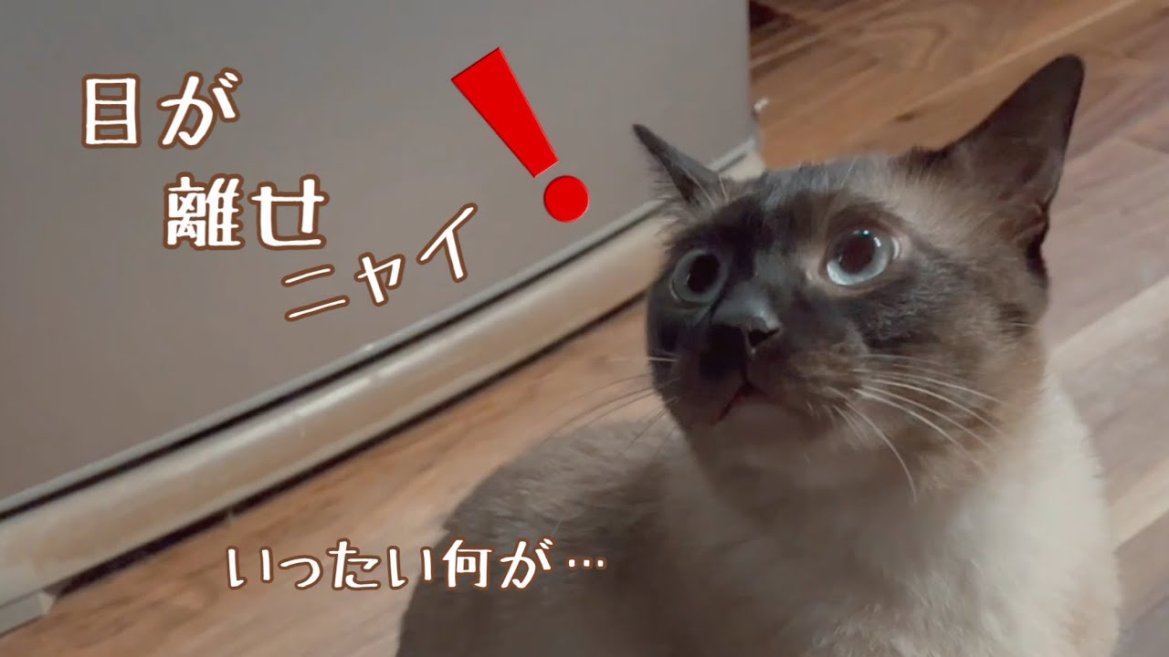 視線の先にいたのは&hellip;まさかの展開！