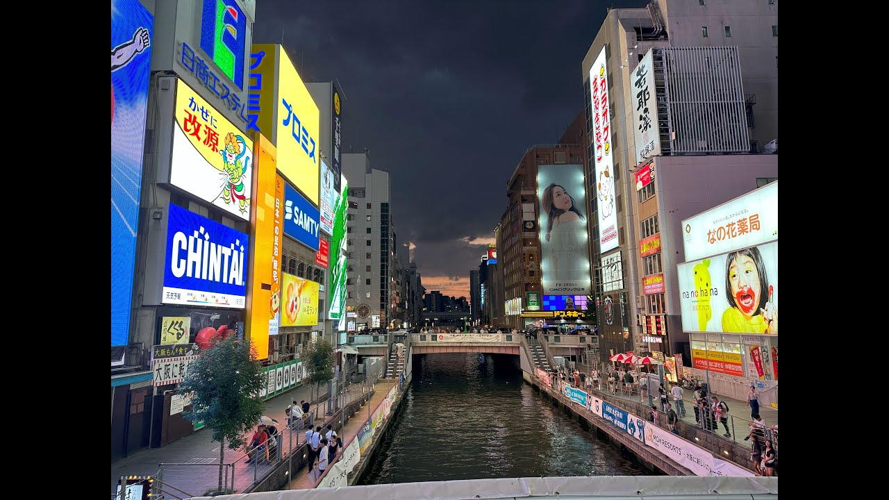 Tokyo, Osaka EP 5: Second days at Osaka Food tour! Omurice, Matcha Tiramisu, Katsudon, and Yakitori.