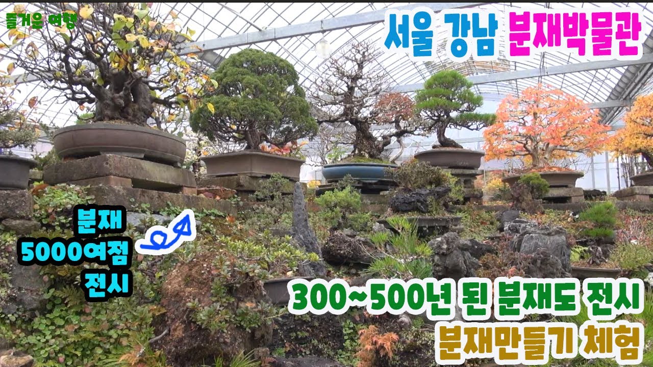 【리빙tv】즐거운여행, 서울 강남구 분재박물관, 분재만들기