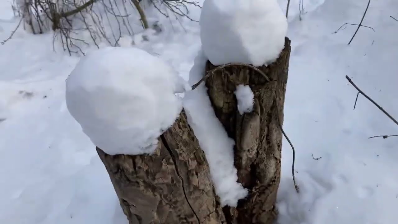 Havas erdő és völgy, téli lábnyomok - Eger
