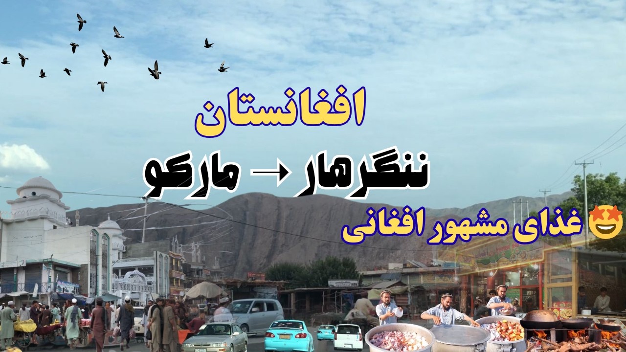 From Nangarhar to Marko | Tasting the Famous Afghan Rosh Dish with Sheep Meat & Potatoes 