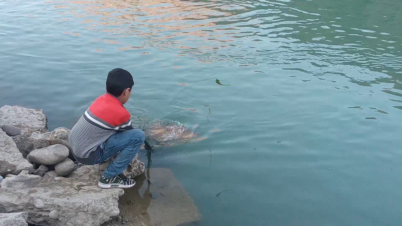 Fishing in sarubi Afghanistan