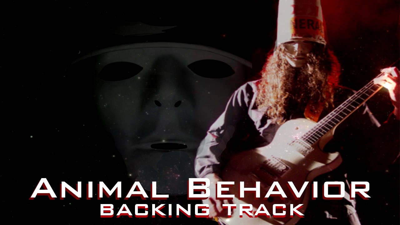 Animal Behavior | Backing Track