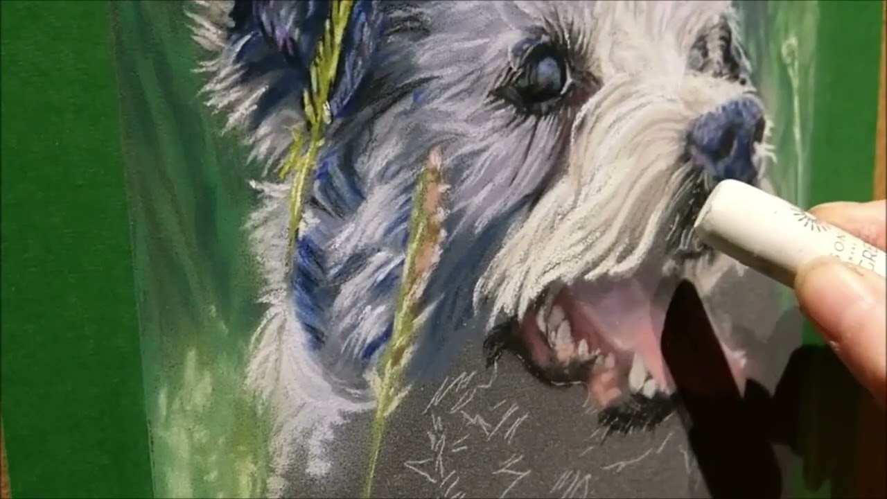 Maisie the Parson's Terrier in soft pastel