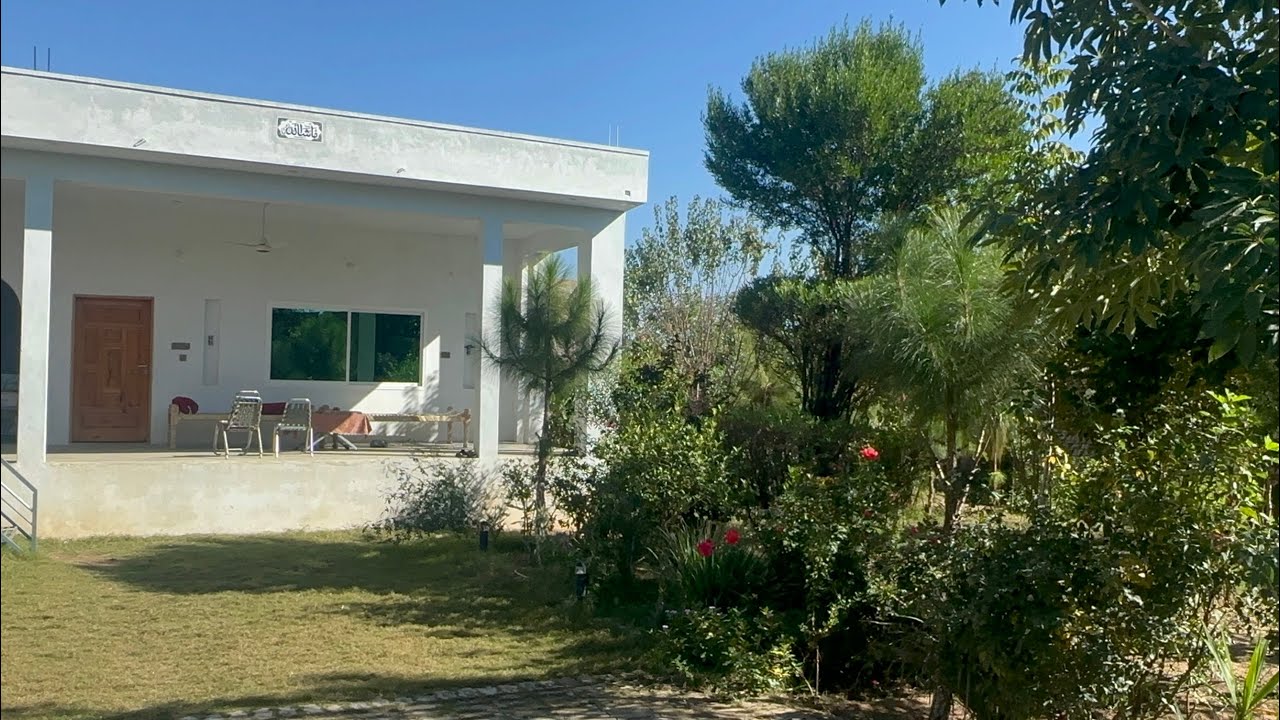 Hujrah, green houses 🏠 Shanawari hangu kpk pak. #hangu #kpk #pakistan #hujrah
