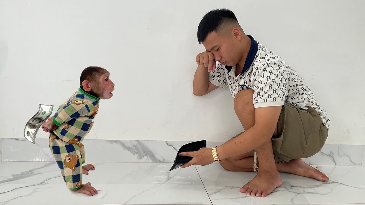 Is Cubis in BIG Trouble for Stealing Dad's $100?