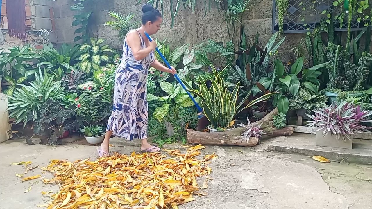 Limpeza do quintal e jardim, é bom  cuidar do que amamos ❤️#plantas #jardim #flores 