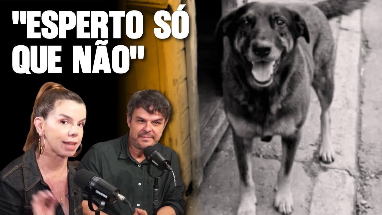 CASO ORELHA: QUEM É O FAMILIAR DO ADOLESCENTE TENTOU ESCONDER PROVAS