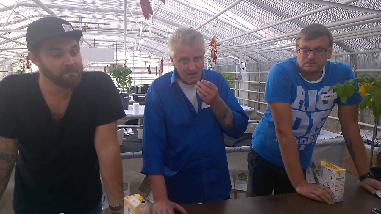Chili Challenge - Brazilian ghostpepper
