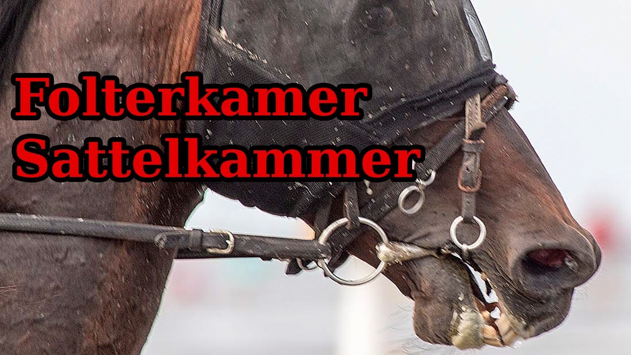 Folterkammer Sattelkammer