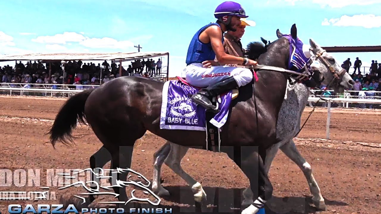 VAQUERITA VS DON MIGUEL | CARRERAS DE CABALLOS | DE LA GARZA PHOTOFINISH