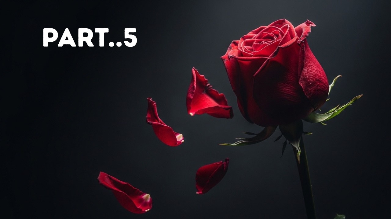 50 Cent Reveals Why Jay Z DISAPPEARED After Diddy's Arrest