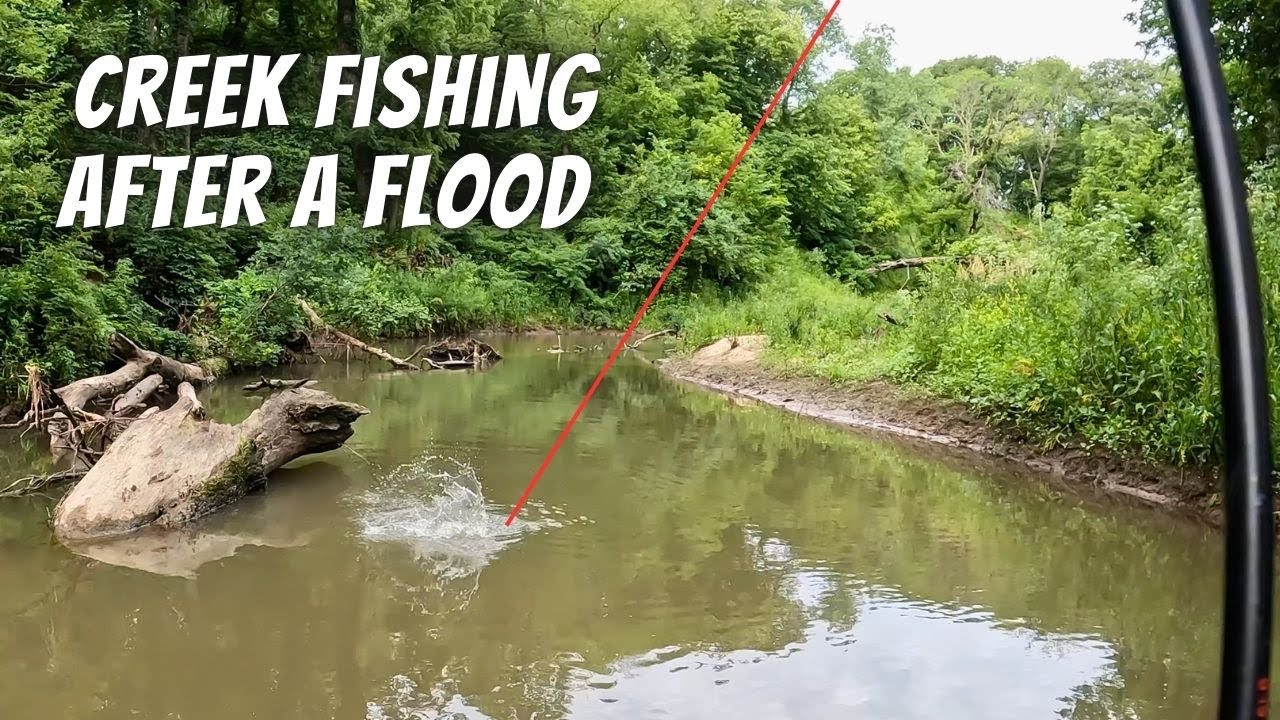 Flooding Pushed So Many Fish Into This Creek (Wipers and Walleye) | 10 Species Caught