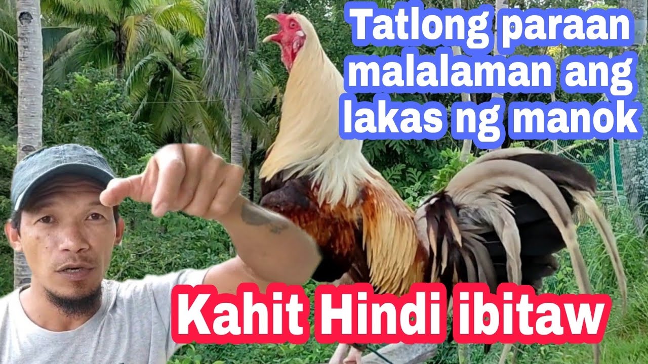 Paraan pag bumili ako ng manok