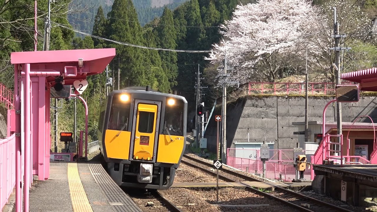 春の智頭急行線を疾走する特急スーパーはくと＆スーパーいなば高速通過集2022