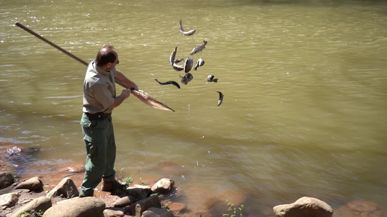 WVDNR prepares for fall trout stocking