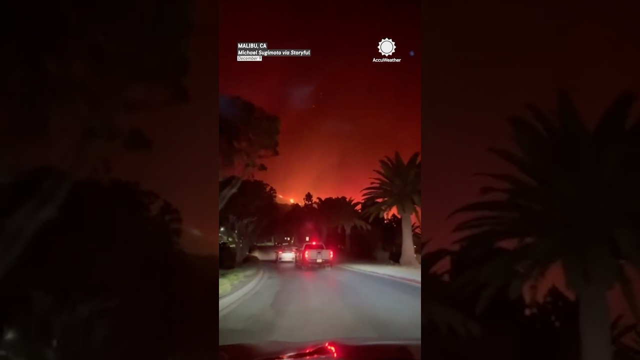 Palisades Fire 2025