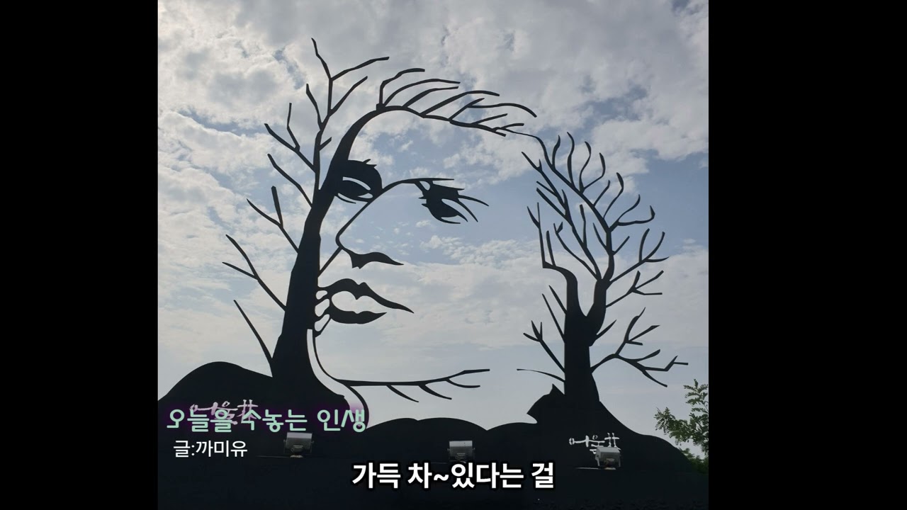 오늘을 수놓는 인생