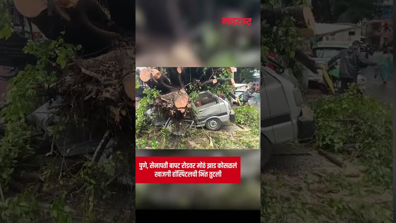 Pune : सेनापती बापट रोडवर मोठं झाड कोसळलं; खाजगी हॉस्पिटलची भिंत तुटली | Navarashtra