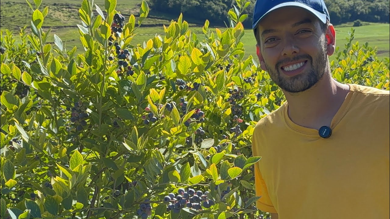 MATHIAS DO MIRTILO - ELE ABANDONOU A CIDADE PARA VIVER NA RO&Ccedil;A 