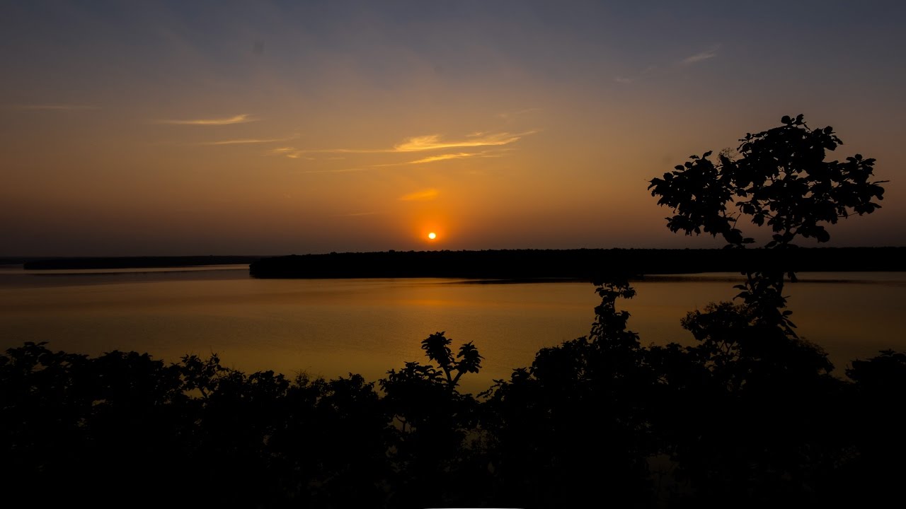 A DAY IN RATAPANI | A WILDLIFE SANCTUARY |
