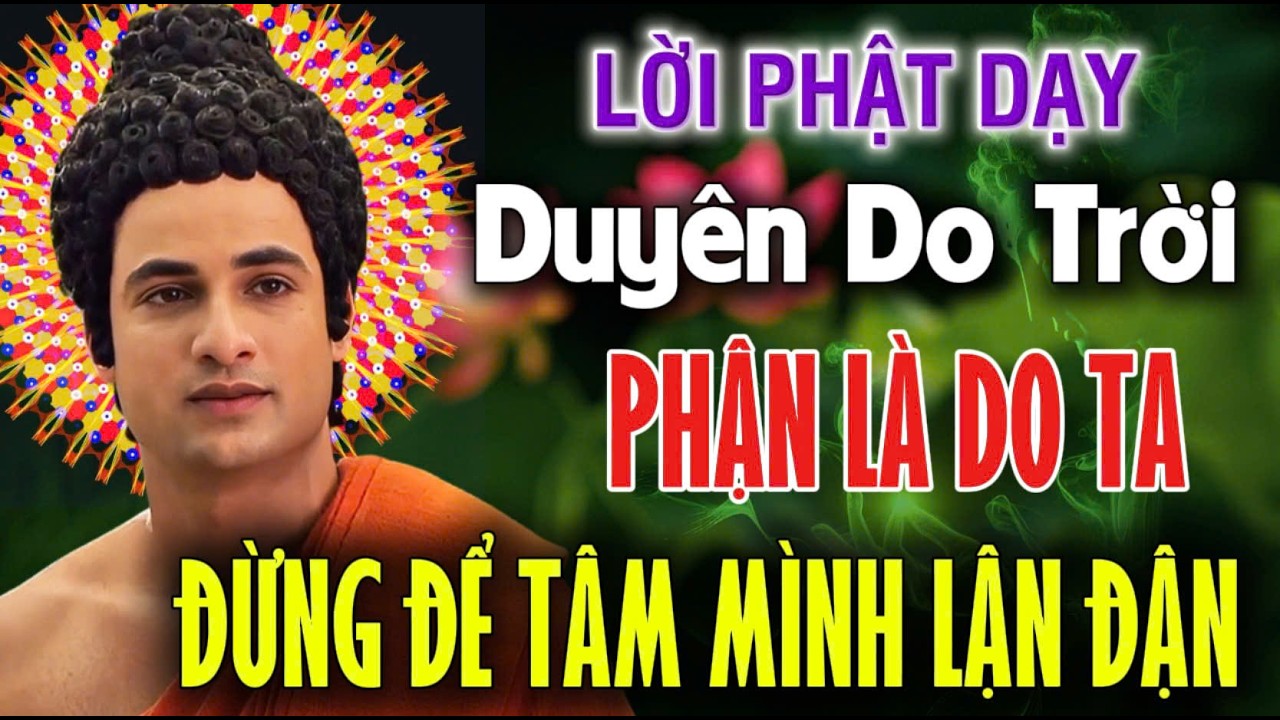LỜI PHẬT DẠY: DUYÊN DO TRỜI, PHẬN LÀ DO TA - ĐỪNG ĐỂ TÂM MÌNH LẬN ĐẬN | An Tịnh Bảo