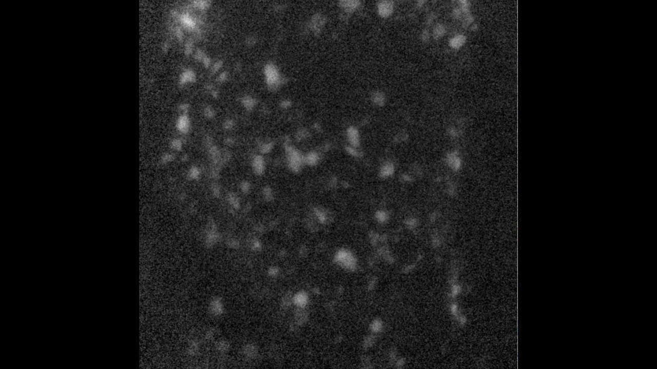 Hard X-ray-induced damage on carbon&ndash;binder matrix