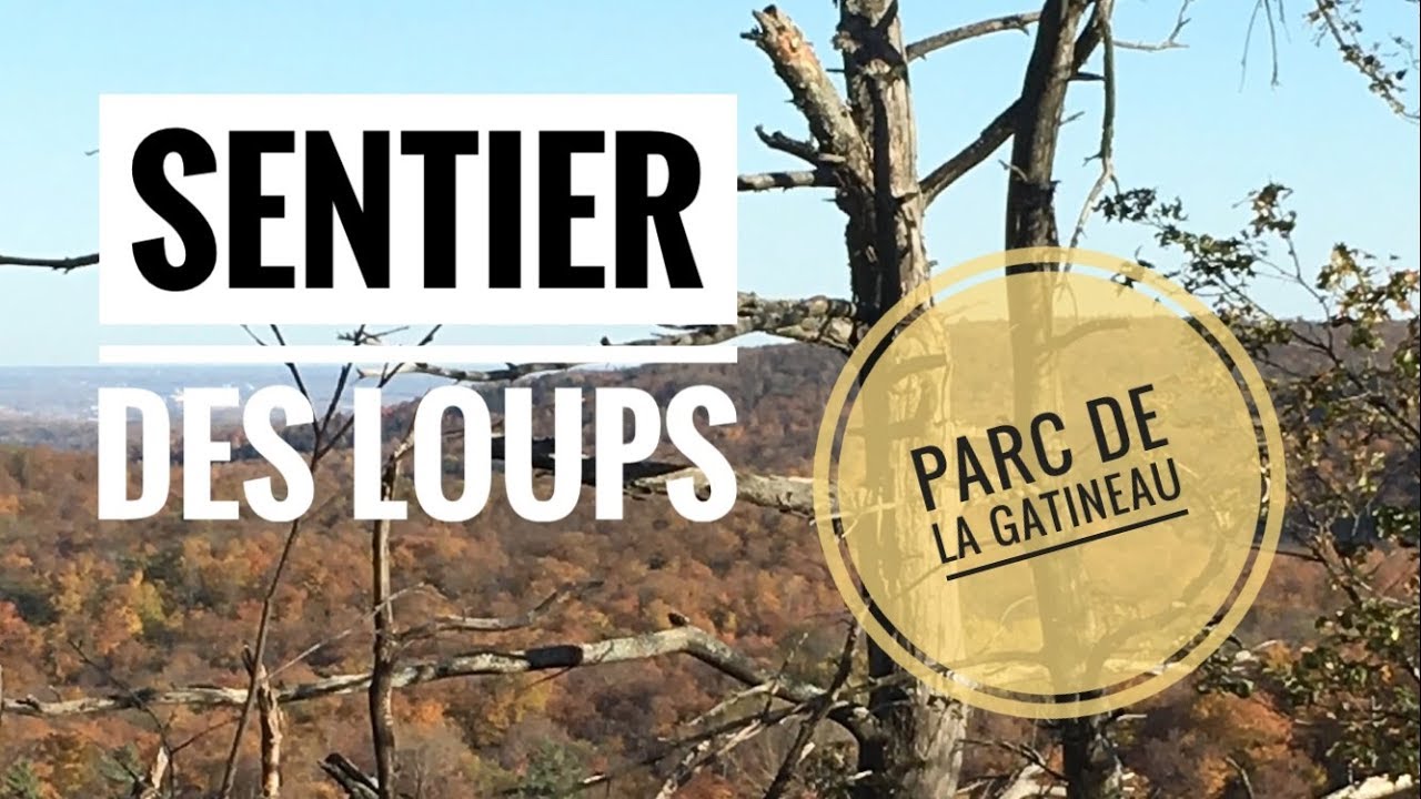 Sentier des Loups (Wolf Trail), Parc de la Gatineau