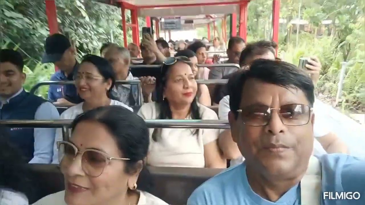 Playing with birds in Singapore Trip 