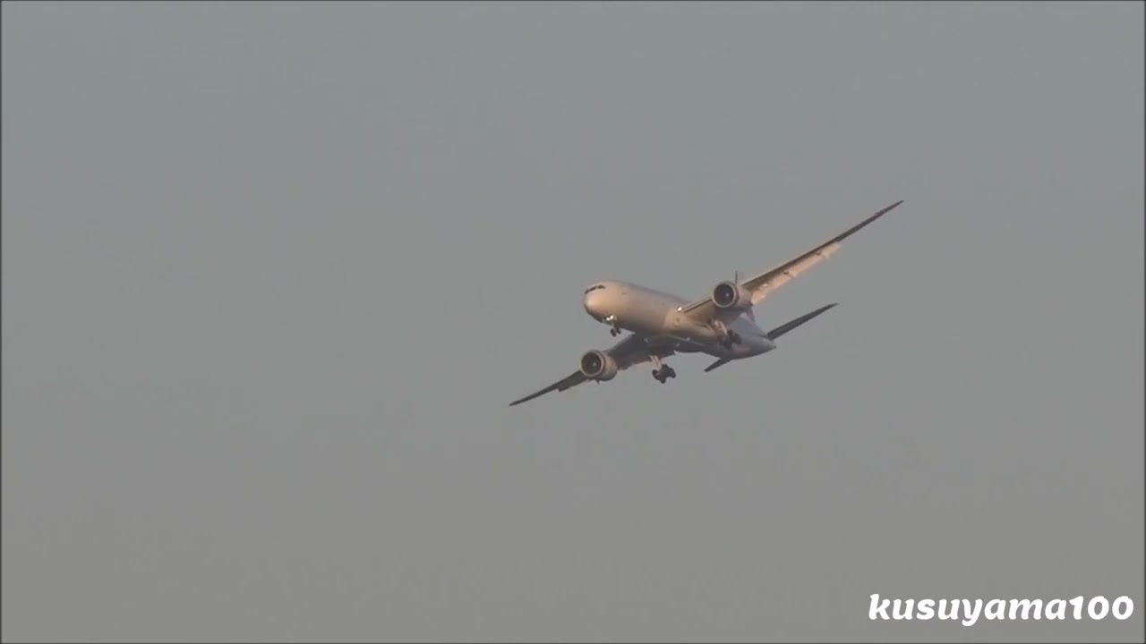 ✈✈RJAA成田空港 緊急着陸！Visual Approach！Emergency landing こんな凄いアプローチ初めて見た!!急病人の為 ビジュアル・アプローチ Narita