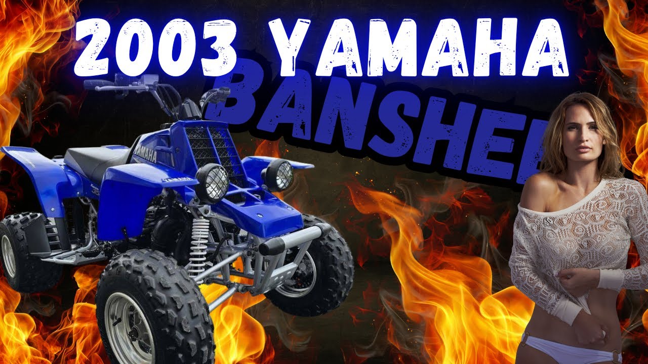 We Bought a Banshee! (2003 Yamaha Banshee First Look & Plans)
