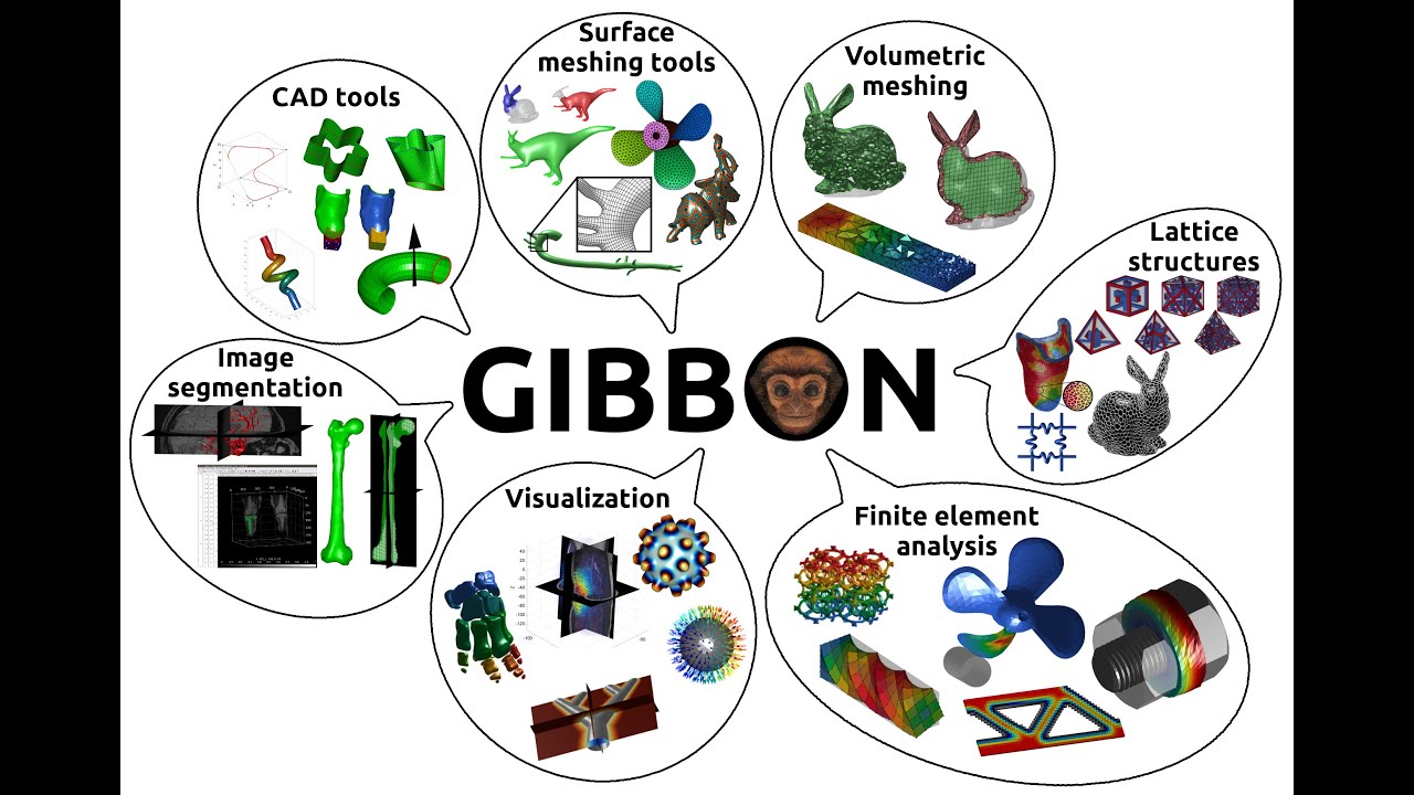 GIBBON workshop and quick overview 2021/09/03