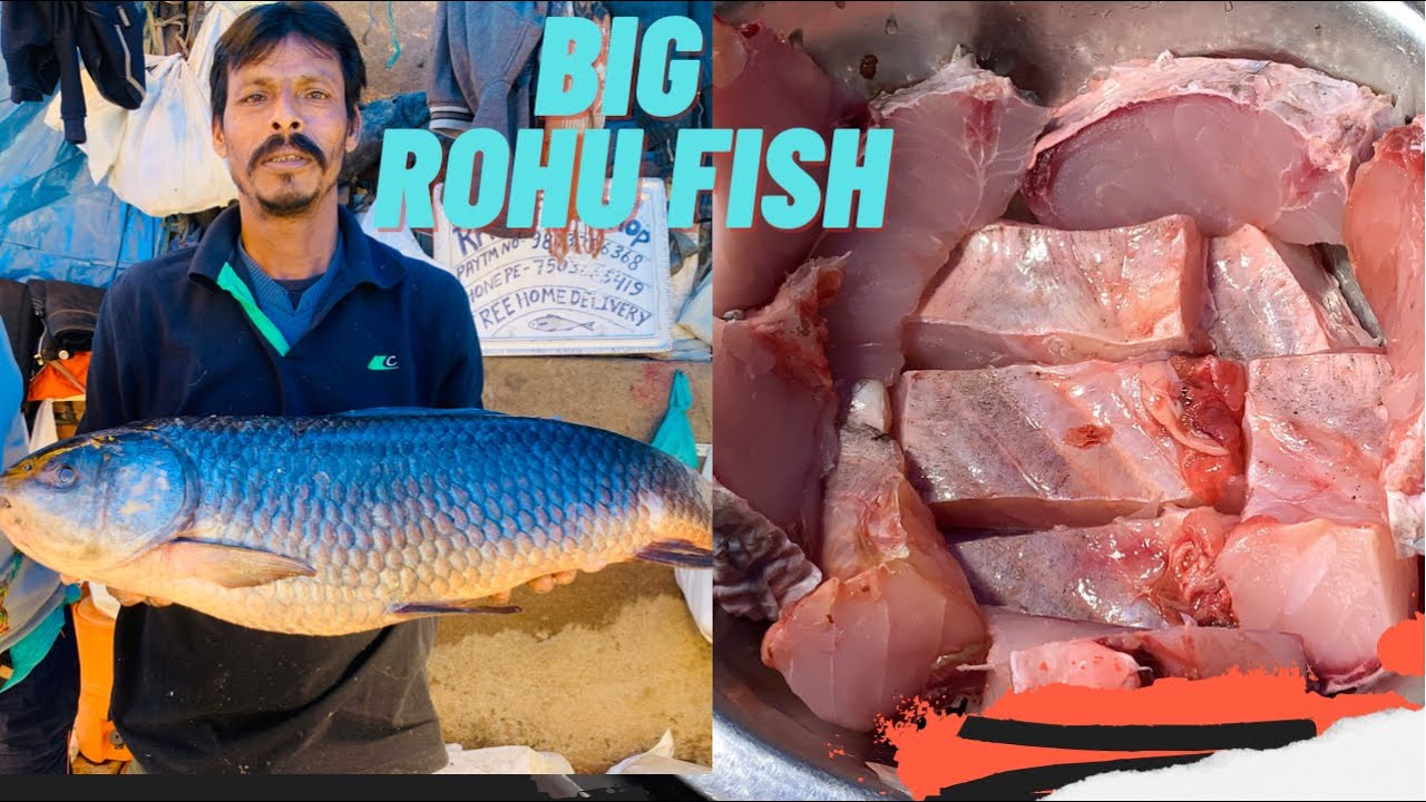 How to clean rohu fish at home |rohu fish price Delhi |रोहू फ़िश ।Rohu fish cutting |how to cut fish