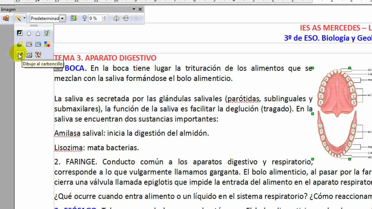 OpenOffice parte 5. Elaboración de una unidad didáctica: Insertar  y editar imágenes