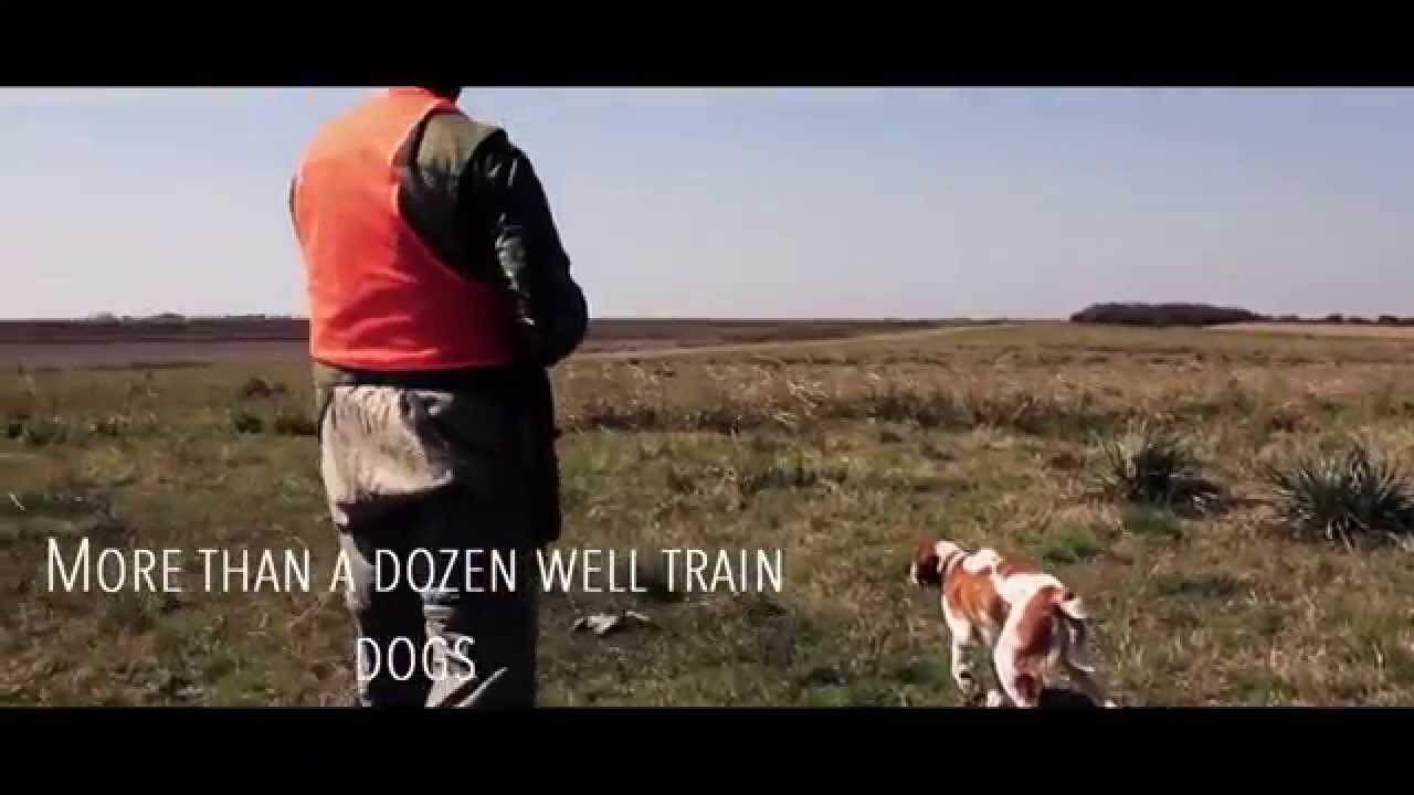 Perdiz Hunting in Argentina Short Reel