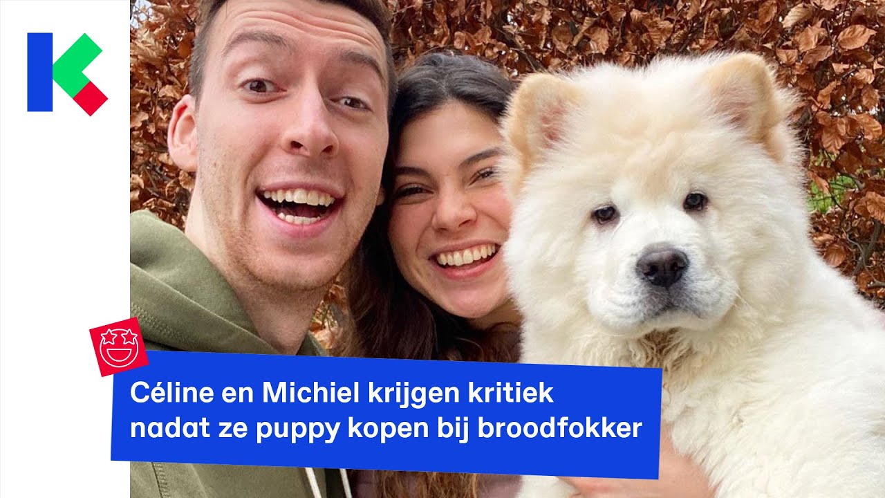 wat is een broodfokker en hoe herken je die?