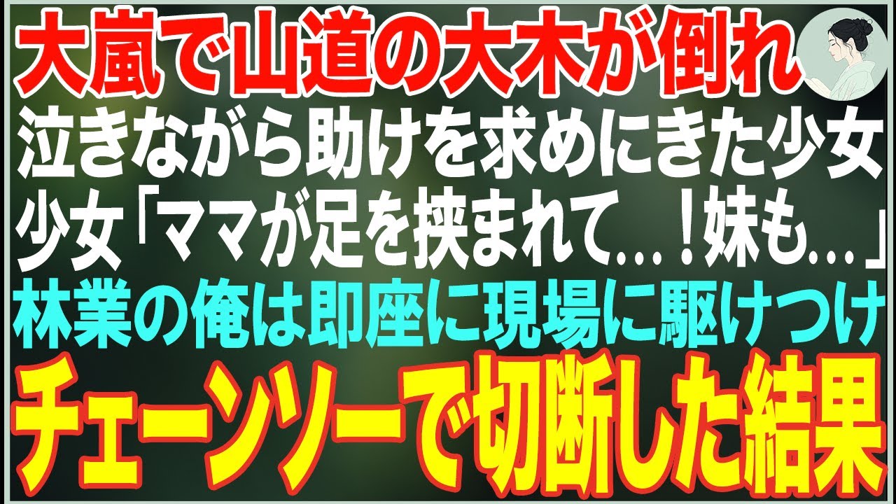 【感動する話】大嵐で倒木が道を塞ぐ山奥で立ち往生する姉妹「お母さんが…足を挟まれて…！」→林業の俺がチェーンソーを持って駆けつけた結果【朗読・スカッと・泣ける話】