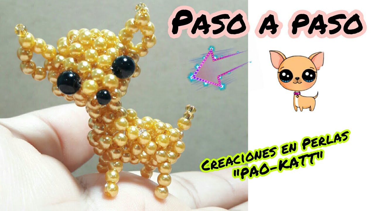 Cachorro (perro) Chihuahua con perlas o cuentas.