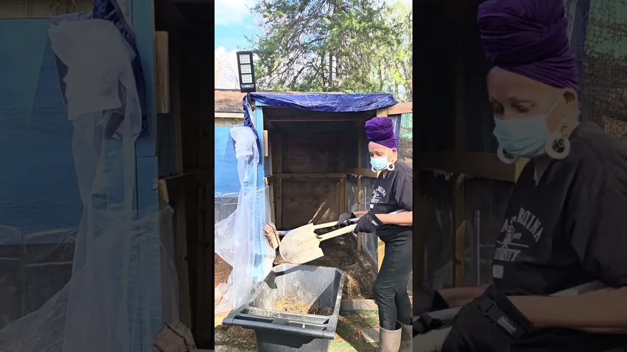 Spring  cleaning coop 1.3