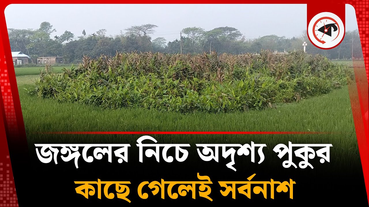 জঙ্গলের নিচে ভৌতিক পুকুর, দখলে নিতে গেলেই বি'প'দ | Pond | Barhatta | Netrokona | Kalbela