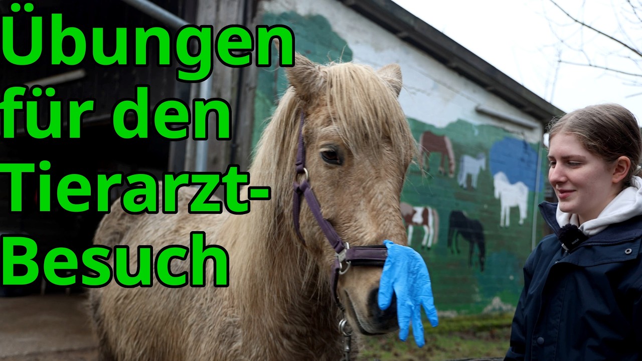 MACH DAS bevor der Tierarzt kommt!