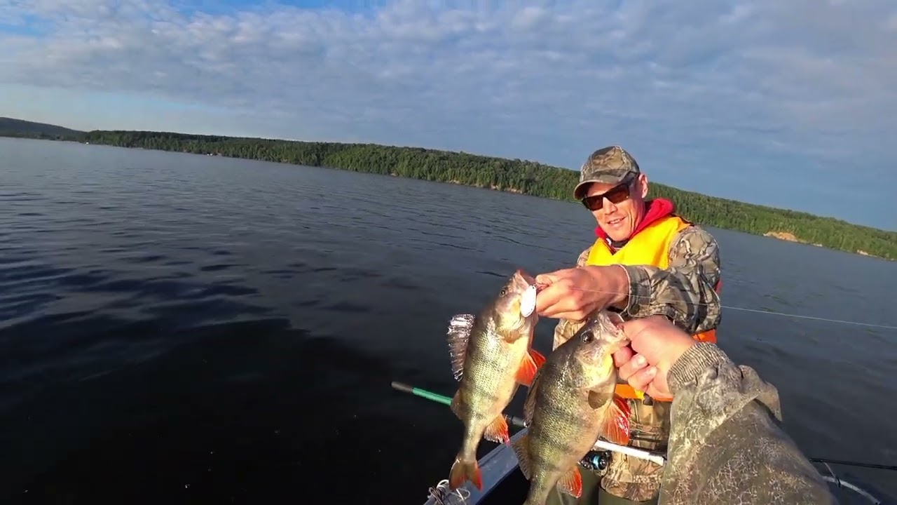 Рыбалка на Чебоксарском водохранилище. Бешеные ОКУНИ. Волга, Шомиково.