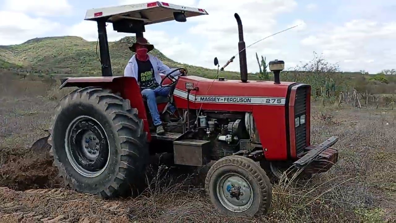 Ivo Rei Das CaBras arrando Terra.