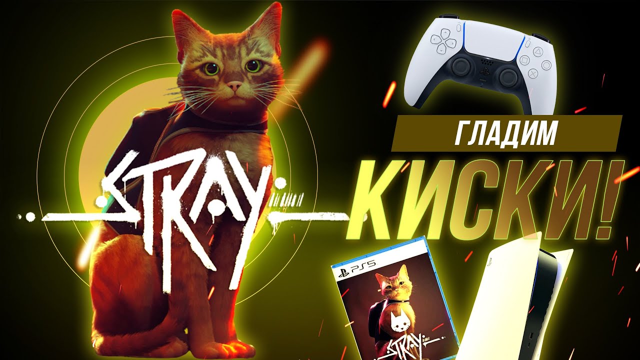 СТРИМ! Второй заход в Stray, чилим и мурлычем!