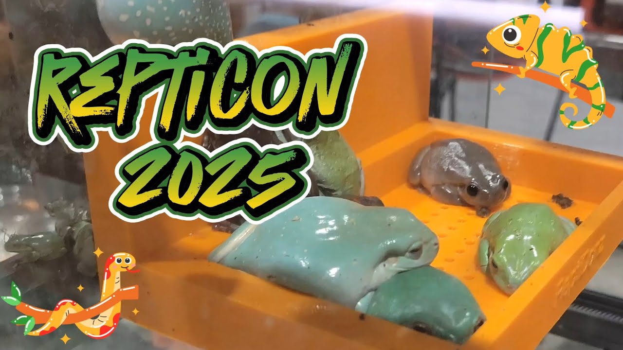 Repticon 2025 (Tampa, FL)