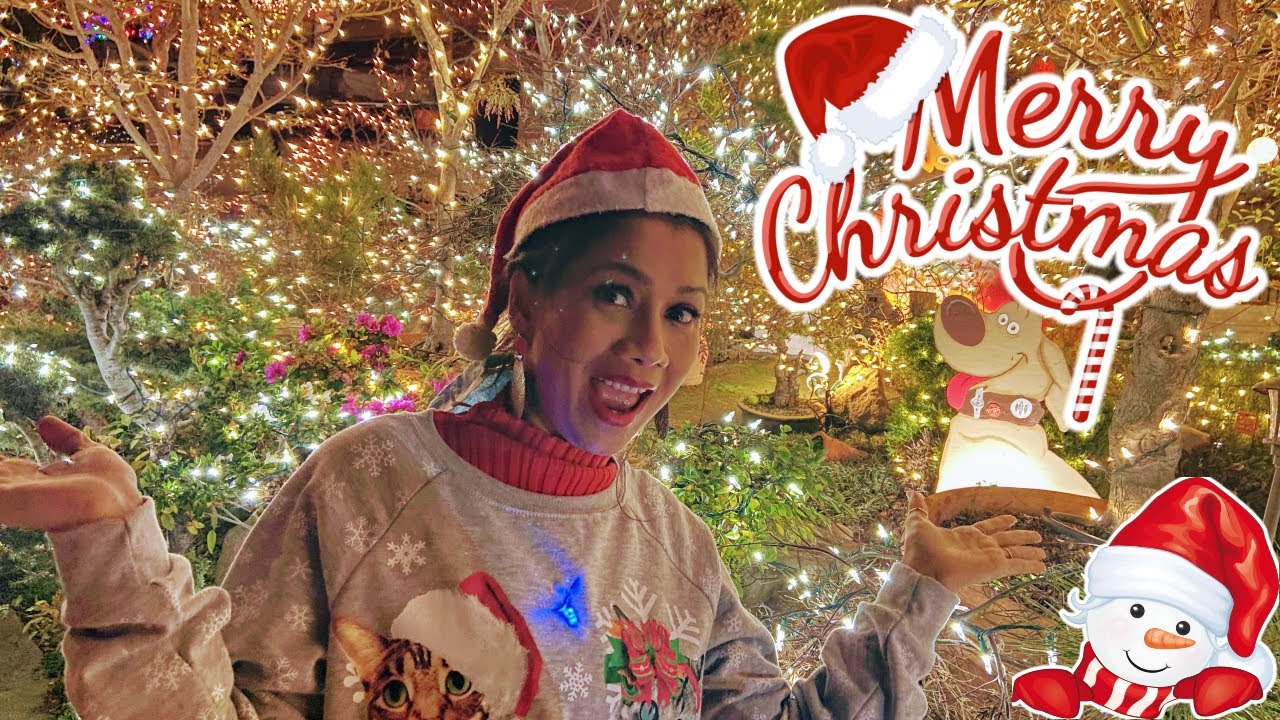 Christmas Lights and Decoration USA 2020 🎄 | 🎅🏽 Christmas Lights Street Tour America