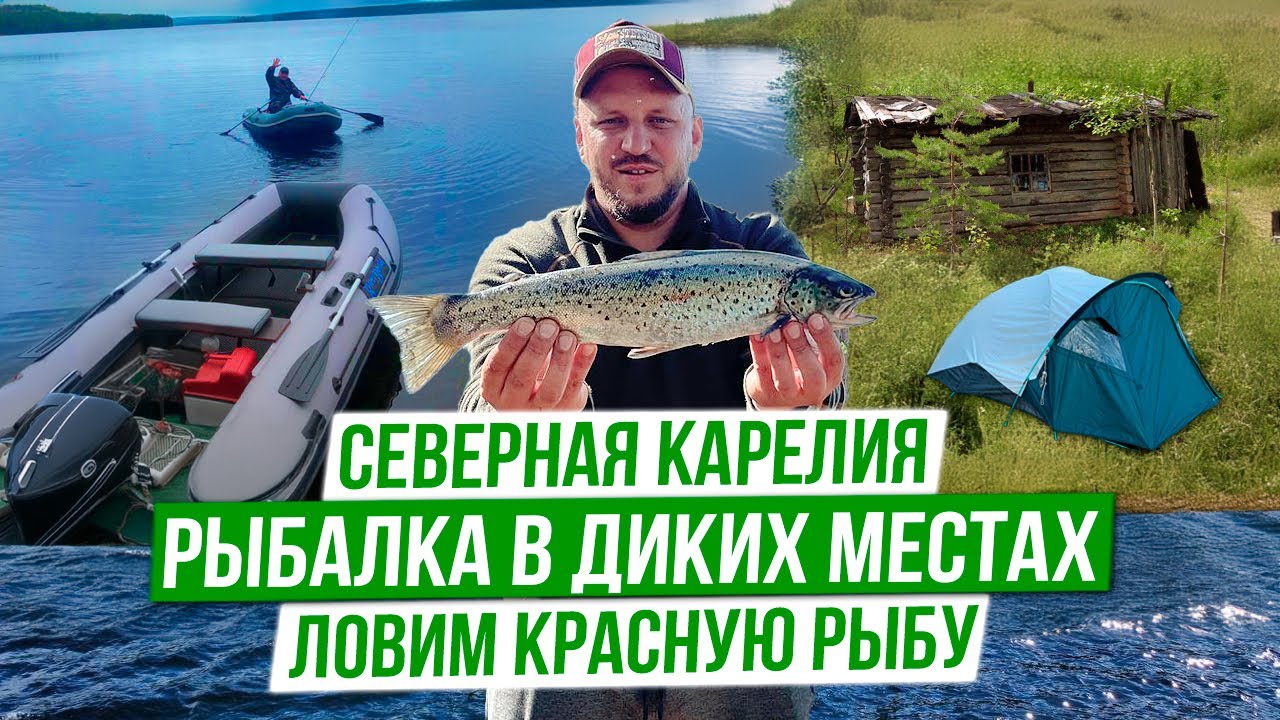 В этом озере ОГРОМНАЯ РЫБА! Вот это рыбалка! Трофейная кумжа, окунь, щука! 4k