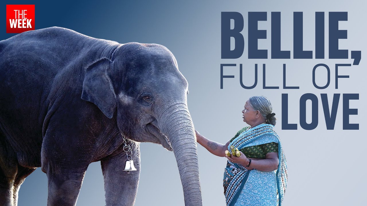 Bellie the Elephant Whisperer, one year after the Oscars | Exclusive Interview | THE WEEK
